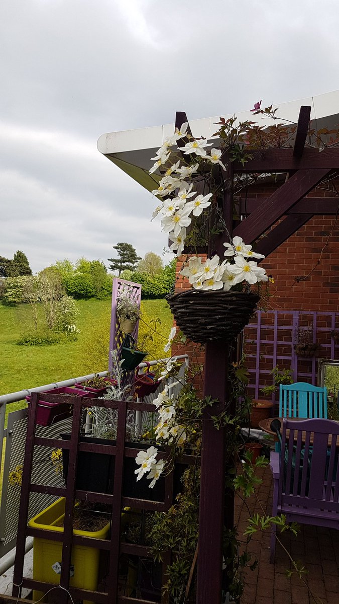 EriKeshOT's tweet photo. Happy #NationalGardeningWeek 

The #OT #balconyproject @DRS_NHS #corbetthospital should be in it's 6th week, our focus has understandably shifted to #COVID19 but the gardens here waiting for us. https://t.co/Qy3Ohm73il