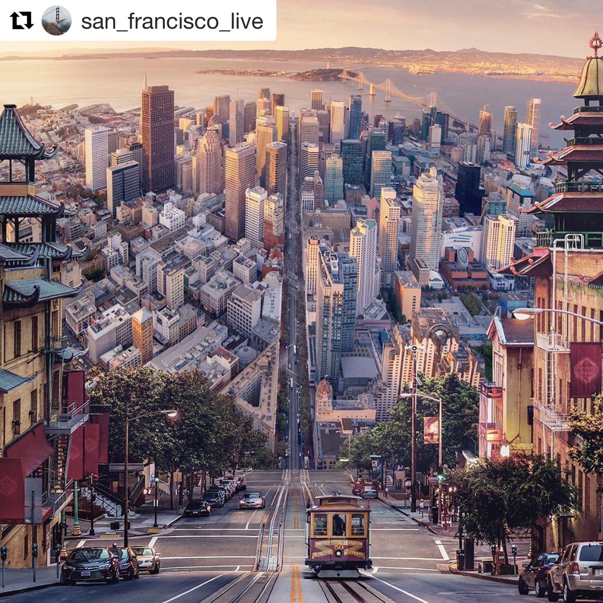 About Being Seen tweet media