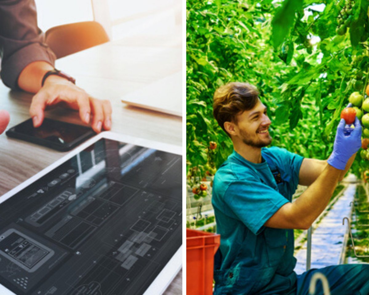 #empleoAragón: Empieza la reactivación laboral.
#empleoZaragoza  #empleoHuesca #empleoTeruel
iberempleos.es/noticias/2020/…