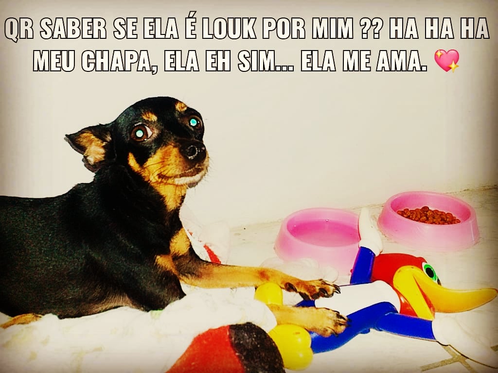 Minha Perry 💖🐾
#katyperry