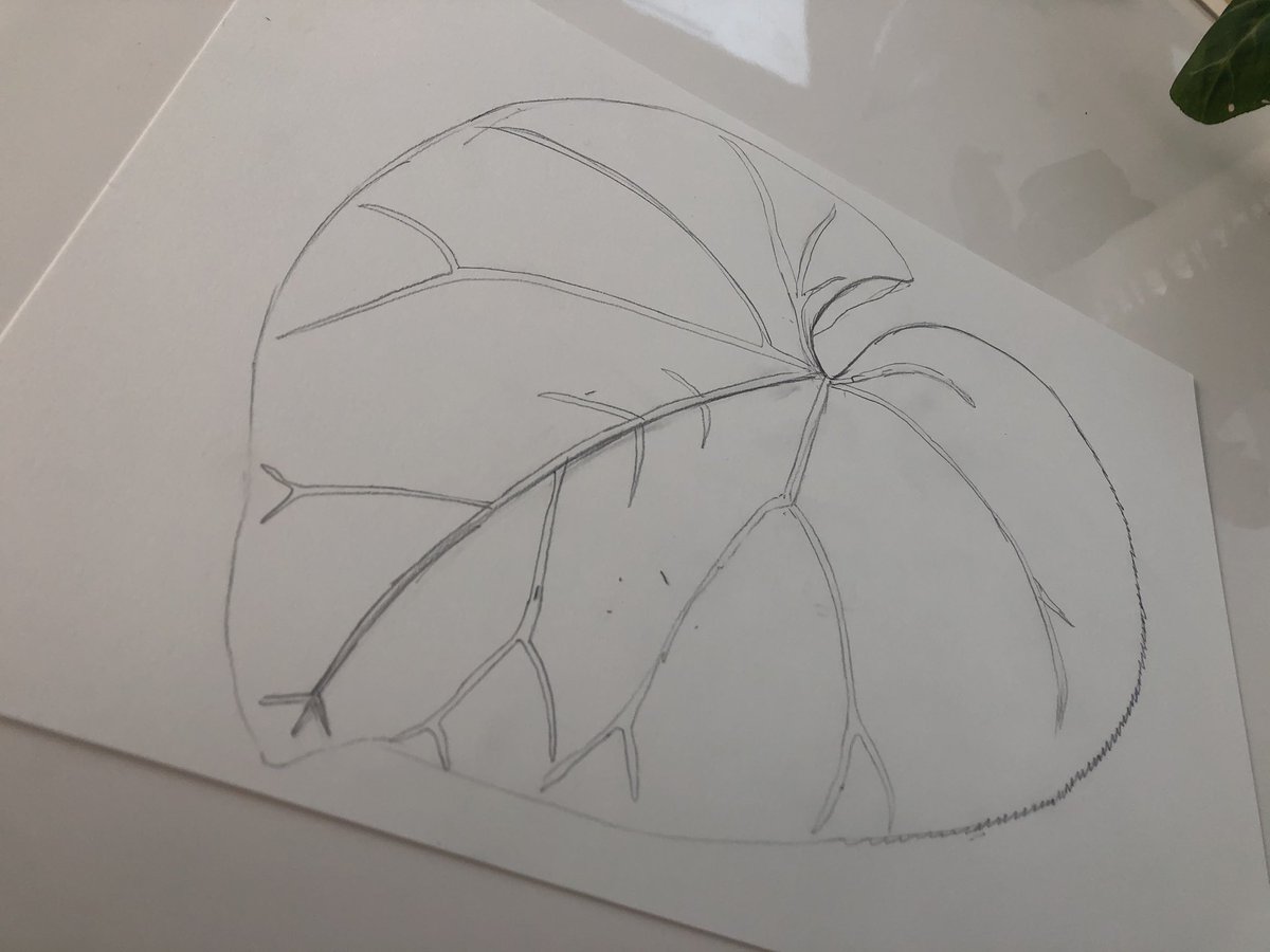 MrsKeene tweet media