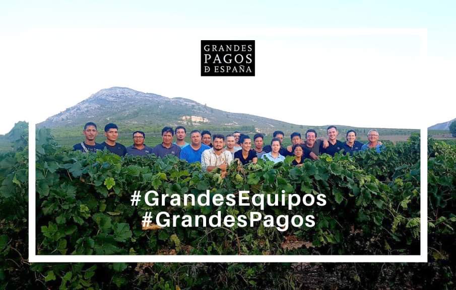 Grandes equipos los que conforman las bodegas de Grandes Pagos España. ¡Este es nuestro equipazo de vendimia!
#GrandesEquipos
#GrandesPagos
#BodegasEnriqueMendoza
--
Great teams those that conform #GrandesPagosEspaña. This is our great Harvest team!
#BodegasEnriqueMendoza
