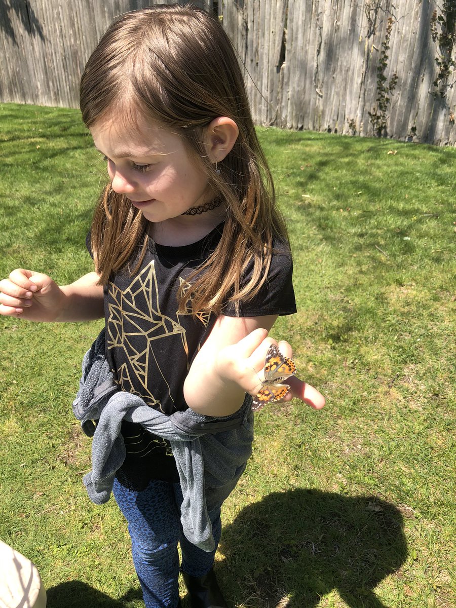 nyctchrofgenius's tweet photo. We said goodbye to our butterflies! #remoteteaching https://t.co/ZiX3K1INU2