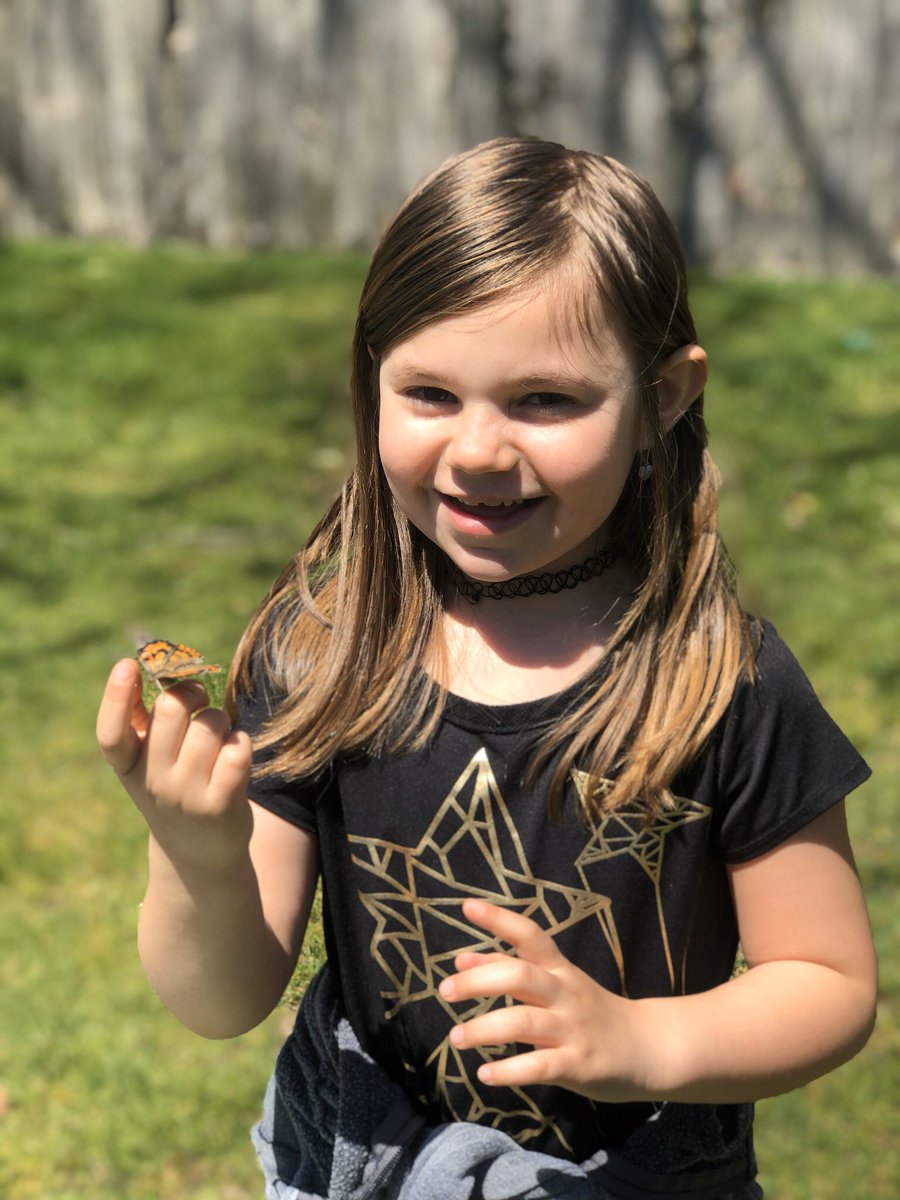 nyctchrofgenius's tweet photo. We said goodbye to our butterflies! #remoteteaching https://t.co/ZiX3K1INU2