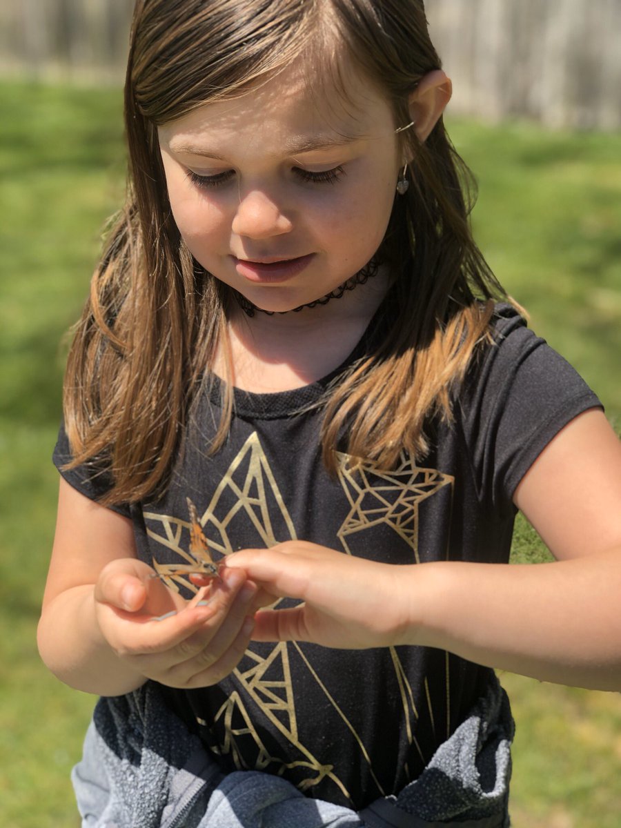 nyctchrofgenius's tweet photo. We said goodbye to our butterflies! #remoteteaching https://t.co/ZiX3K1INU2