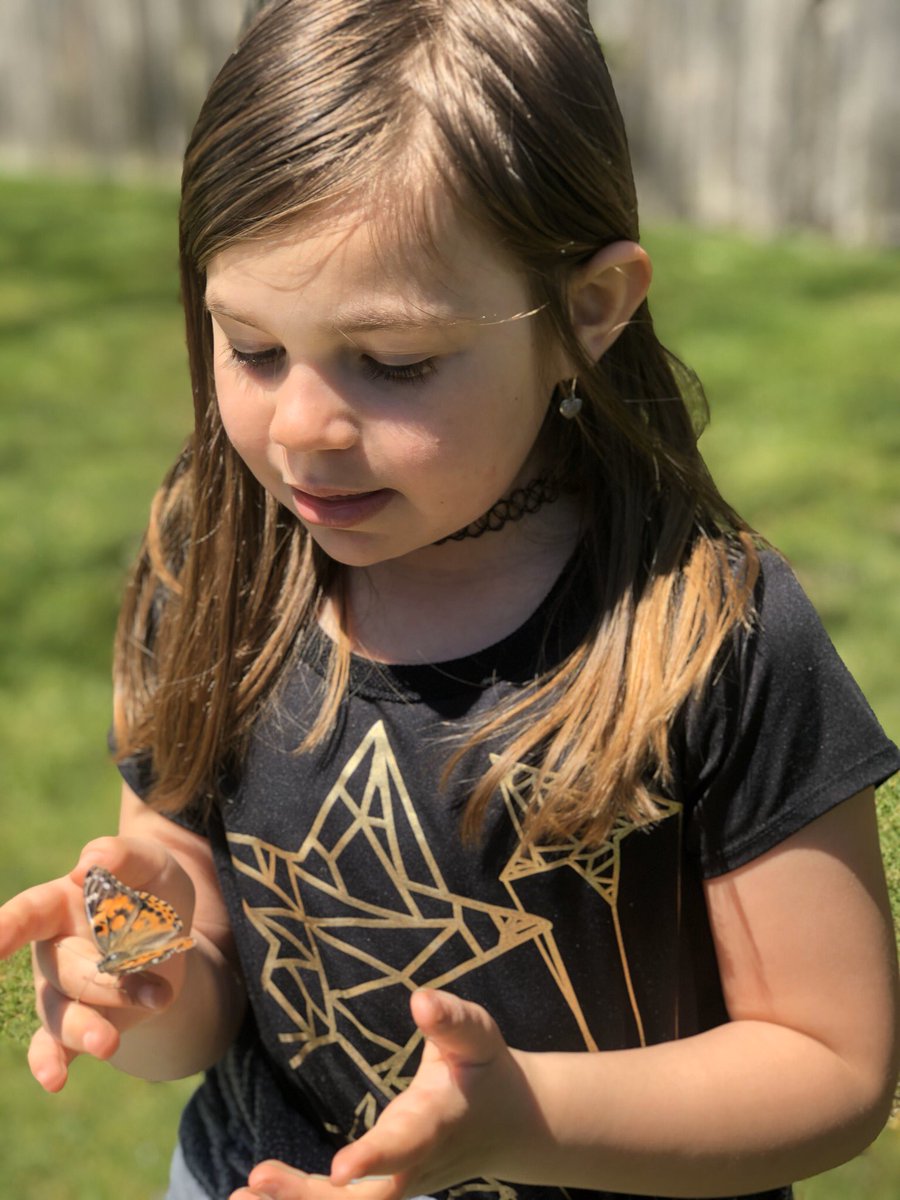 nyctchrofgenius's tweet photo. We said goodbye to our butterflies! #remoteteaching https://t.co/ZiX3K1INU2