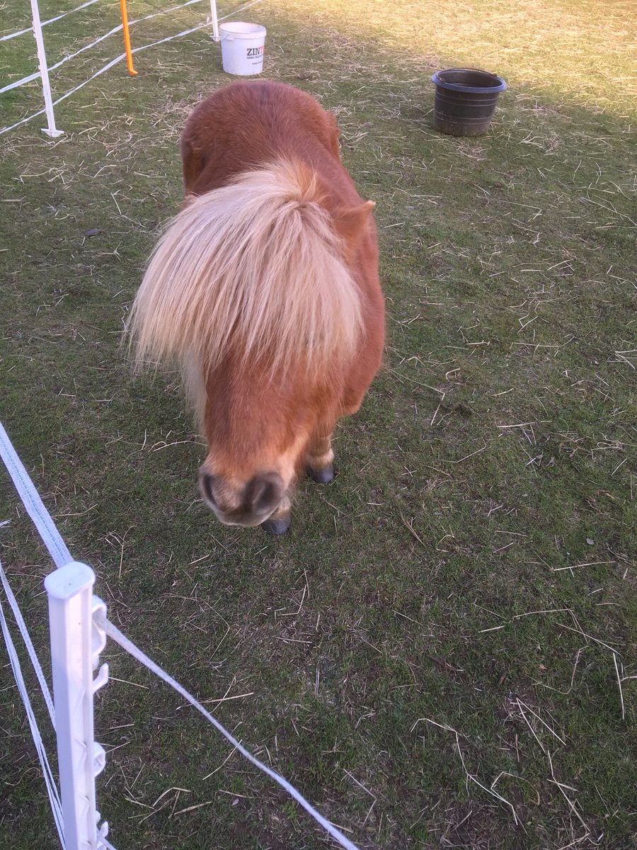 Day1/7 of my life in pictures invited by <a href="/shuey1974/">shuey1974</a> 😊