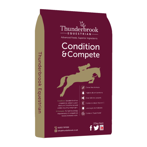 Thunderbrookuk_'s tweet photo. Thunderbrook Equestrian  l Make sure you're providing your horse with a safe and healthy environment to prevent these common health ailments. 

https://t.co/A4UbQqnDqC #ThunderbrookEquestrian https://t.co/YzZp0qm2nM