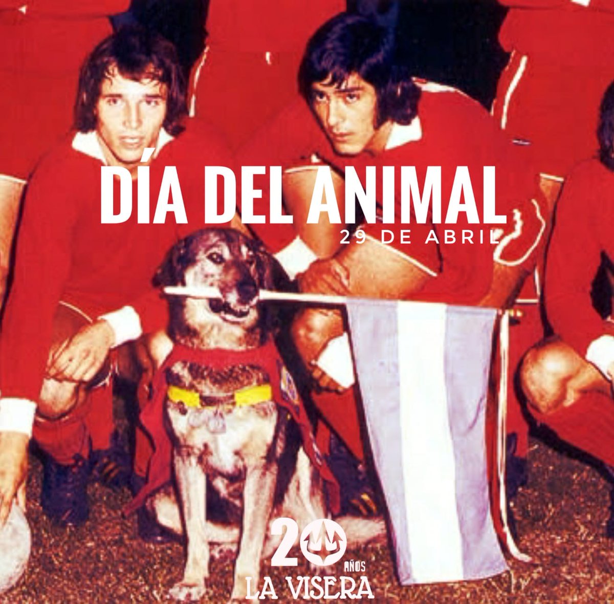 🗓️ En el día del animal recordamos a BONECO 🐕

🔴Mascota de Independiente, el amuleto del equipo multicampeón.
🔴Parte de la historia del Rey de Copas.
🔴 Único perro 'campeón' de Libertadores.

El hincha fiel de cuatro patas... 
BONECO ⭐🐕