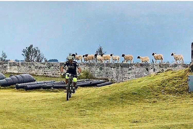 NatlMuseumBDA's tweet photo. Lockdown: Day 26 without the humans. We are missing our humans friends a lot today so wanted to share this photo of us spectating the Fat Tire Massive race late last year. Go ewe bikers, go! #athomewithhistory #unitedtogetherbda #fattiremassive #bermudaraces https://t.co/bLgXCxWv8V