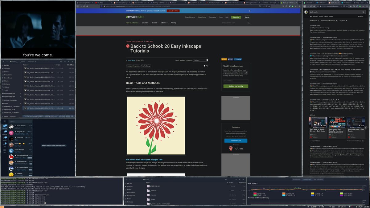 ferd9d's tweet image. i3wm is so cool! #RegolithLinux