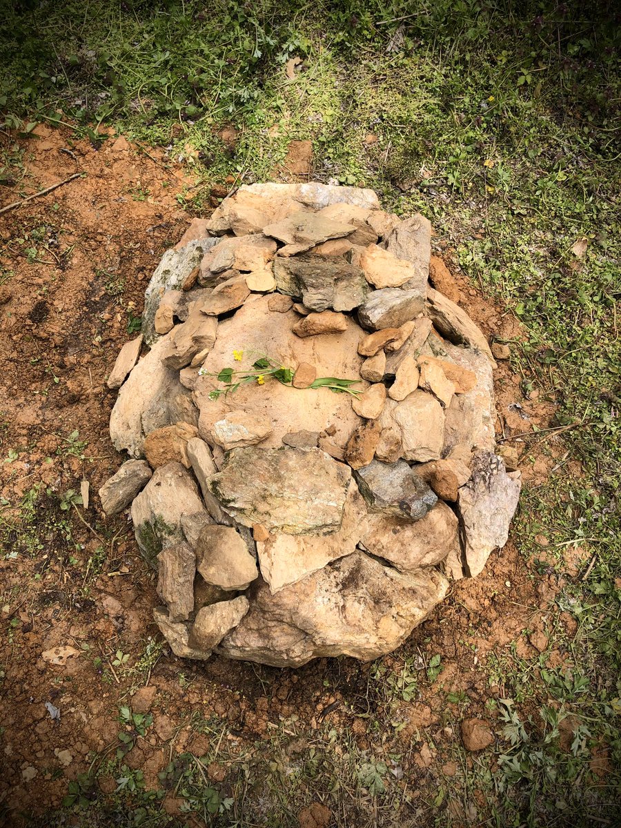 ExaggeratedP's tweet image. We had to let go of our sweet Abby this morning. So painful. We had 13 wonderful years of love, happiness, and comfort. We will miss her forever.😭💔