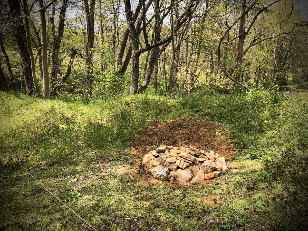 ExaggeratedP's tweet image. We had to let go of our sweet Abby this morning. So painful. We had 13 wonderful years of love, happiness, and comfort. We will miss her forever.😭💔