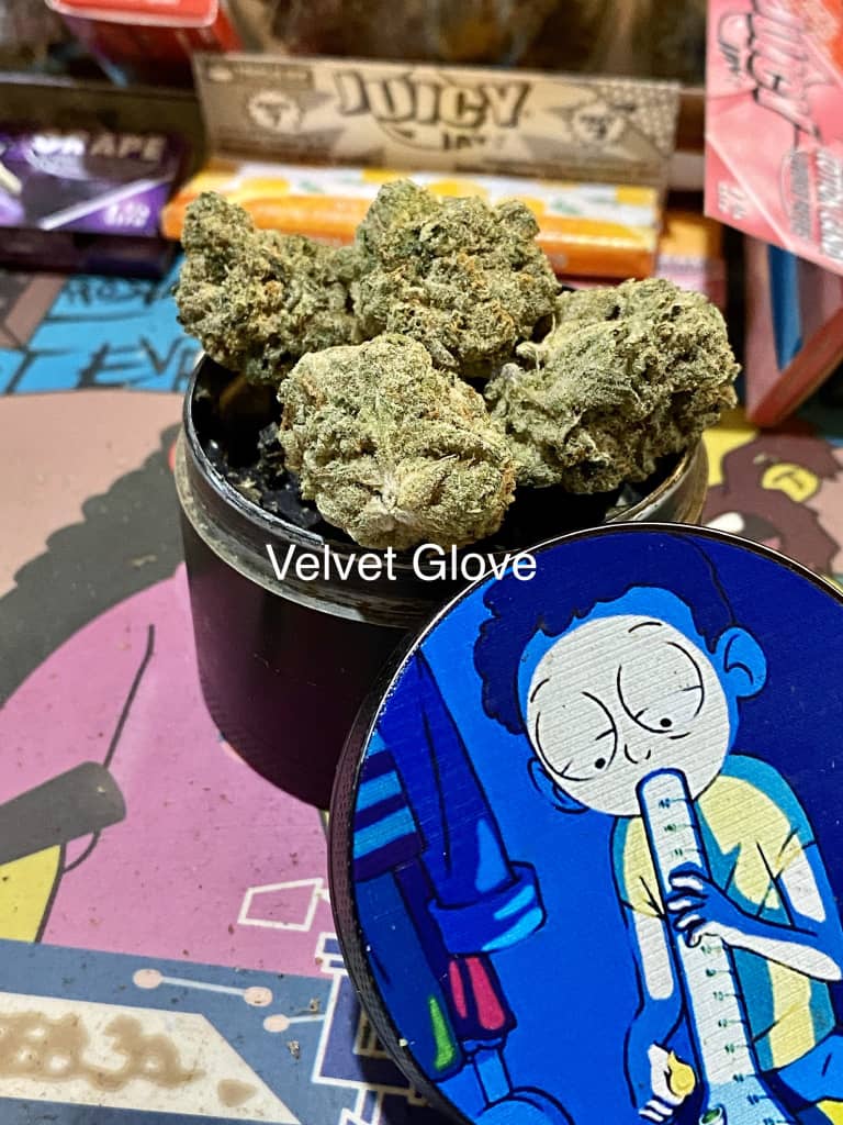 LegentPlug's tweet image. De la bonne weed livraison discrète 
Snap: plugstore18
Commande minimum 50€
#CoronavirusFrance 
#lausanne #giletsjaunes #notredame #cannabis #VivreEnsemble #Bordeaux #FiersDeLaGrève #FiersdetreBleus #hautsdefrance #Plaisir #VivreEnsemble #ViolencesPolicieresA