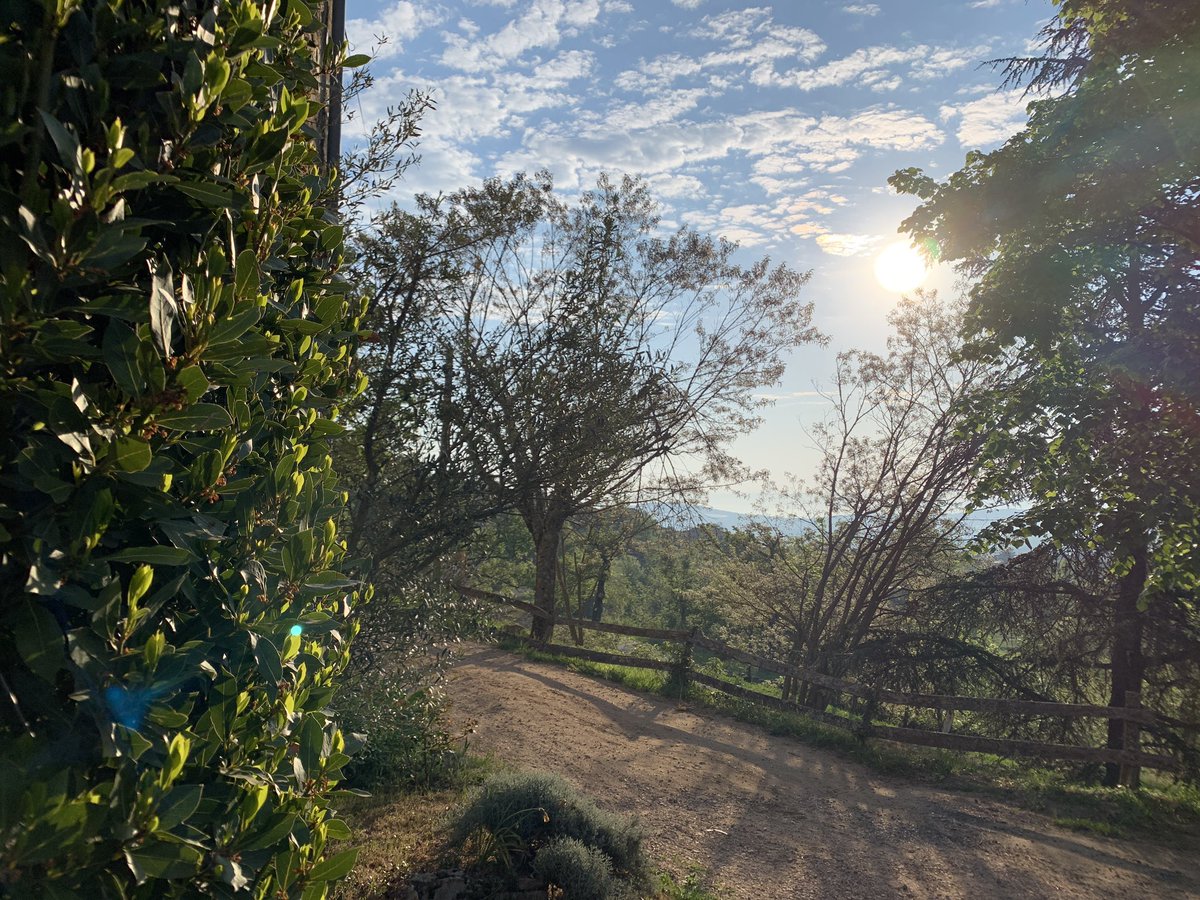 Lemasgirodier's tweet photo. ✅lieu champêtre pour un week-end de rêve 😍☀️🌿💍🥂
#mariage #pourlavie #ceremonielaique #salledereception #paysage #sport #bonheur #amour #randonnee #gitesdecharme #patrimoinefrançais #champetre #ardecheverte #masprovençal #pontdarc #tourisme #vacances #lardechoise #wedding https://t.co/SDx9FZS5KI