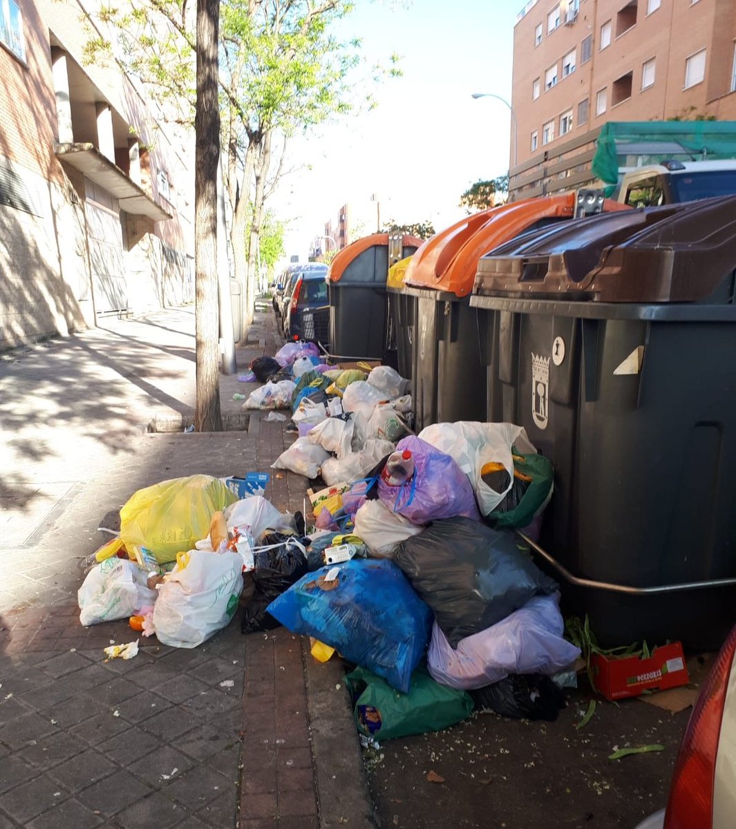 Valdebernardo C/ Copernico <a href="/Lineamadrid/">Línea Madrid</a> <a href="/MADRID/">Ayuntamiento Madrid</a> estaría bien que mandaran alguien a limpiar de vez en cuando <a href="/AlmeidaPP_/">José Luis Martínez-Almeida</a> <a href="/MDavChe/">Cheito</a> <a href="/fmhumberto1/">leoninos</a> <a href="/Ilubatan/">Fernando</a> <a href="/Gonz_Camarero/">Gonzalo Camarero Santamaría♻️🌍🌳🌊</a> <a href="/nuriasalamanca2/">Nuria</a> <a href="/AscoMadrid/">Madrid Da Asco</a> <a href="/AcerasLimpias/">Aceras Limpias || Democracia Limpia</a> <a href="/B_B_Bea/">LlámameBetty 🇵🇸</a> <a href="/davidhego/">David</a> <a href="/Madridlovale/">Madridlovale</a> <a href="/MadridUn/">Madrid vandalizado</a> <a href="/ChambeSdefiende/">CHAMBERI SE DEFIENDE</a>