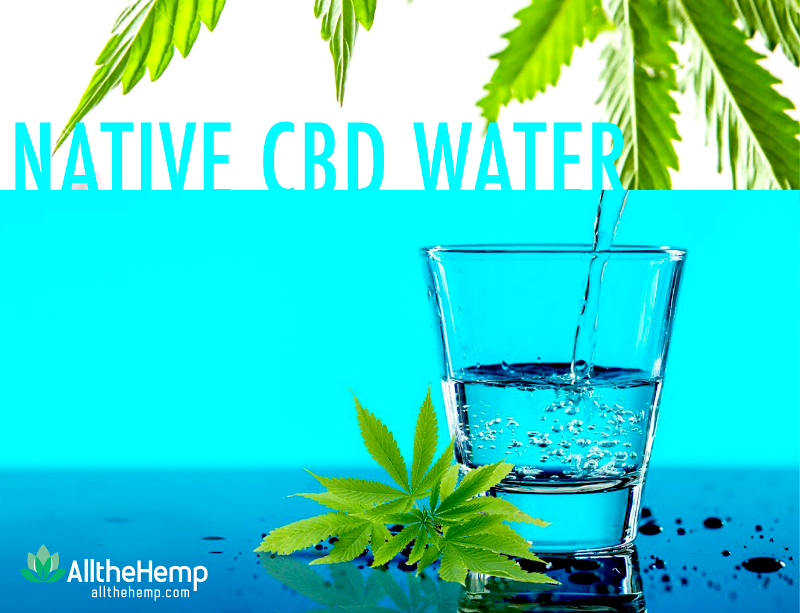 allthehemp's tweet photo. Stay hydrated and pain free during your self- quarantine with Natural Native's CBD water. Native's bottles have 5 mg of Hemp oil, with a bio equivalent to 30mg of true Nano hemp.

Get yours today: https://t.co/6a89O45JP0

#allthehemp #naturalnative #cbdwater #hemp #water #hempoil https://t.co/PMae52IXdJ