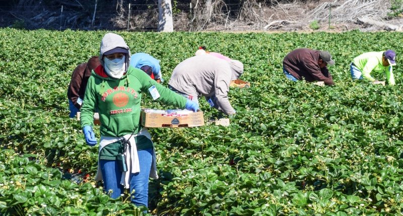 Capitol_Weekly's tweet image. COVID-19: Grass-roots groups form to help undocumented immigrants. Known as "Undocufunds," they were launched in the wake of wildfires, now serve to ease the pain of the pandemic on the vulnerable. Bryndon Madison in Capitol Weekly. capitolweekly.net/covid-19-group… #covid19 #undocufund