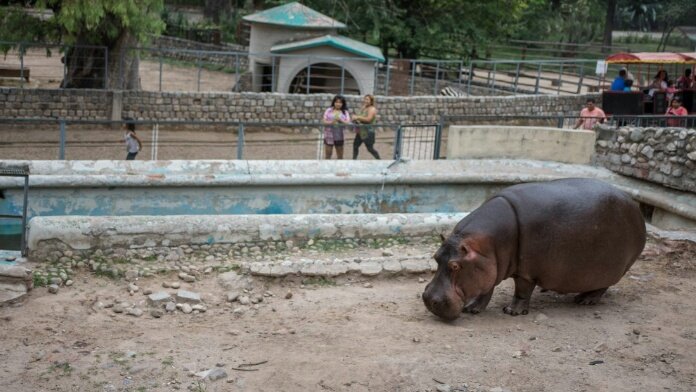 AthiiCano's tweet photo. Alguien más piensa que deberían cerrar el "zoológico" de Córdoba?más de 1200 animales se encuentran  encerrados en este lugar que se dice llamar  "zoológico" https://t.co/S45whxrz1H