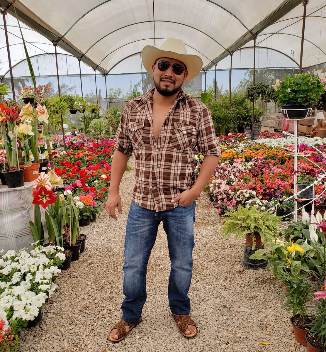 ArahaelFernando's tweet photo. ¿Cómo está eso de Retwittear? ¿Ganas más seguidores? No entiendo...
#huarachudo #huaraches #huarachescruzados #guaraches #guarachesmexicanos #huarachesmexicanos #patasdevato #vivero #campesino #ranchero #vaquero https://t.co/vltg9bBuD2