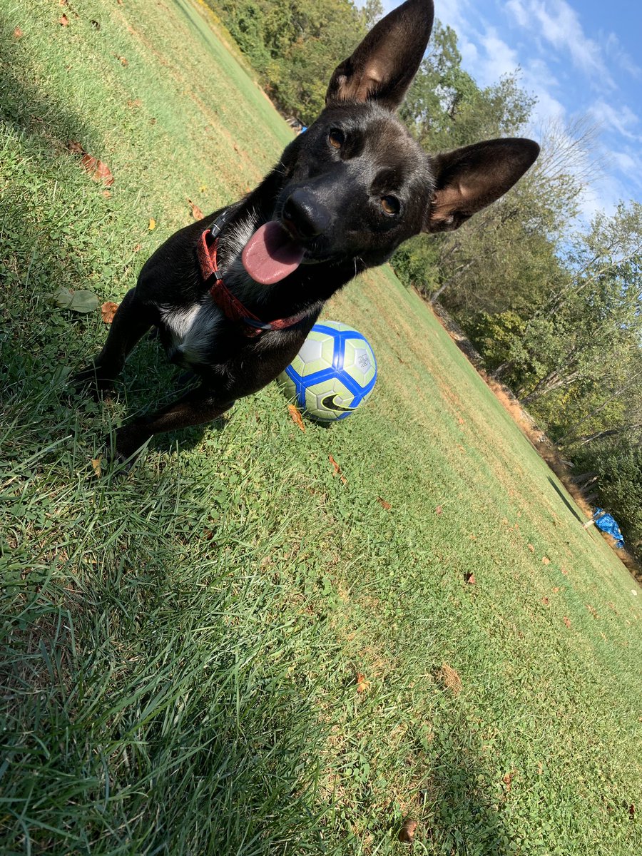 Adam Robinson tweet media