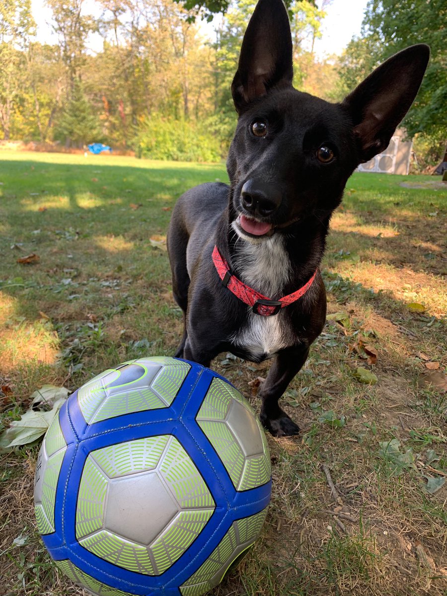 Adam Robinson tweet media