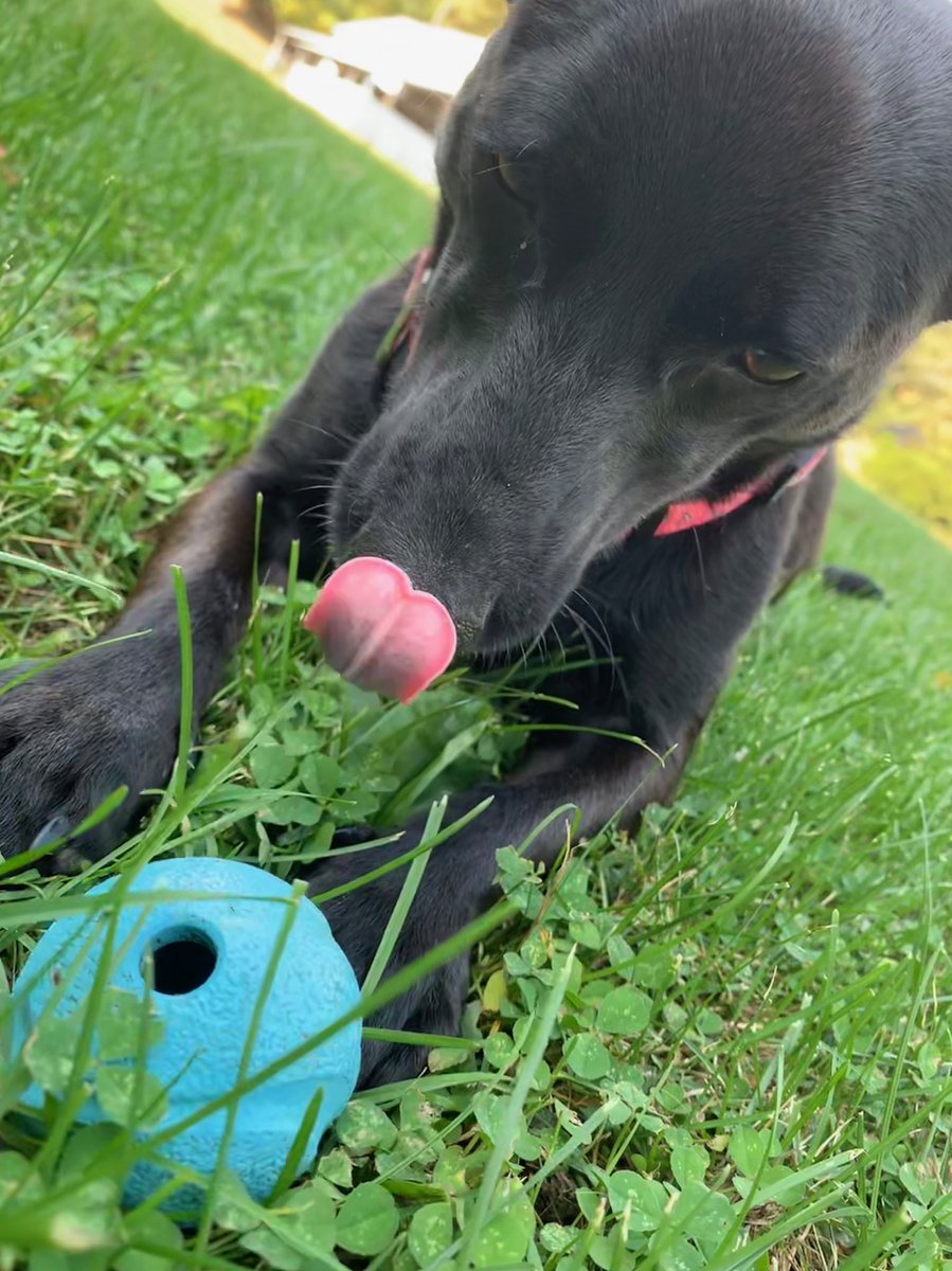 Adam Robinson tweet media