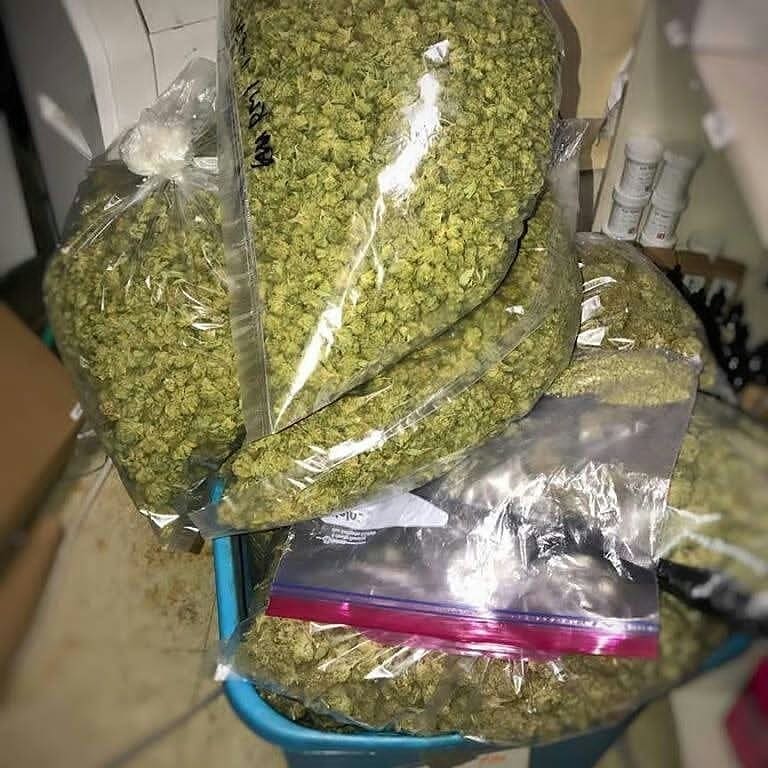 LegentPlug's tweet image. Livraisons et envoie 50€ minimum
Snap : plugstore18
#restaurantparis #restaurantfrancais #weedparis #parisweed #weed #weedbelgium #aeroport #weedfinland #paris #weedfrance #embarquement #vacances #voyage #depart #boeing #avion #instagram #cafenoir