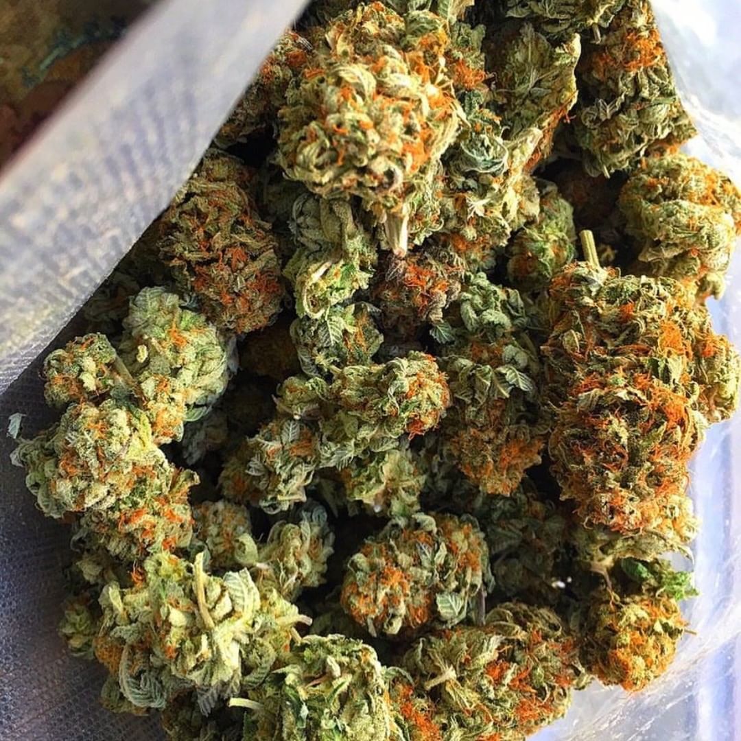 LegentPlug's tweet image. Livraisons et envoie 50€ minimum
Snap : plugstore18
#restaurantparis #restaurantfrancais #weedparis #parisweed #weed #weedbelgium #aeroport #weedfinland #paris #weedfrance #embarquement #vacances #voyage #depart #boeing #avion #instagram #cafenoir