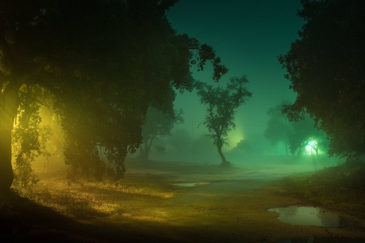 HenriPrestes's tweet photo. Incredibly honored to say I’m a finalist in the 99th ADC Awards in Fine Art Photography with my series “Perfect Darkness”, shot in secluded regions of the portuguese countryside. Thanks to everyone who’s been supporting my work this past year, it means a lot to me! https://t.co/HRt1elDYS9
