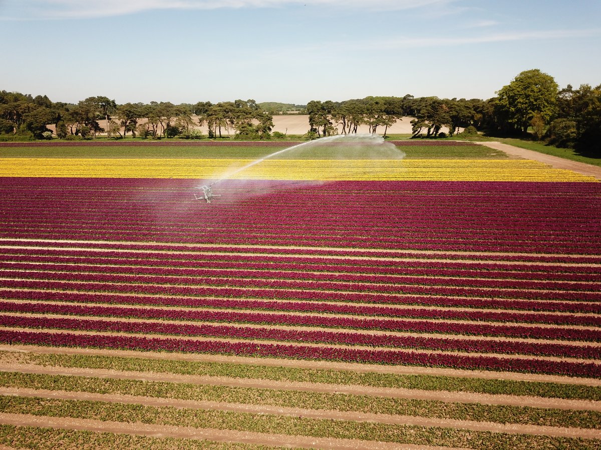 Mark Eves tweet media