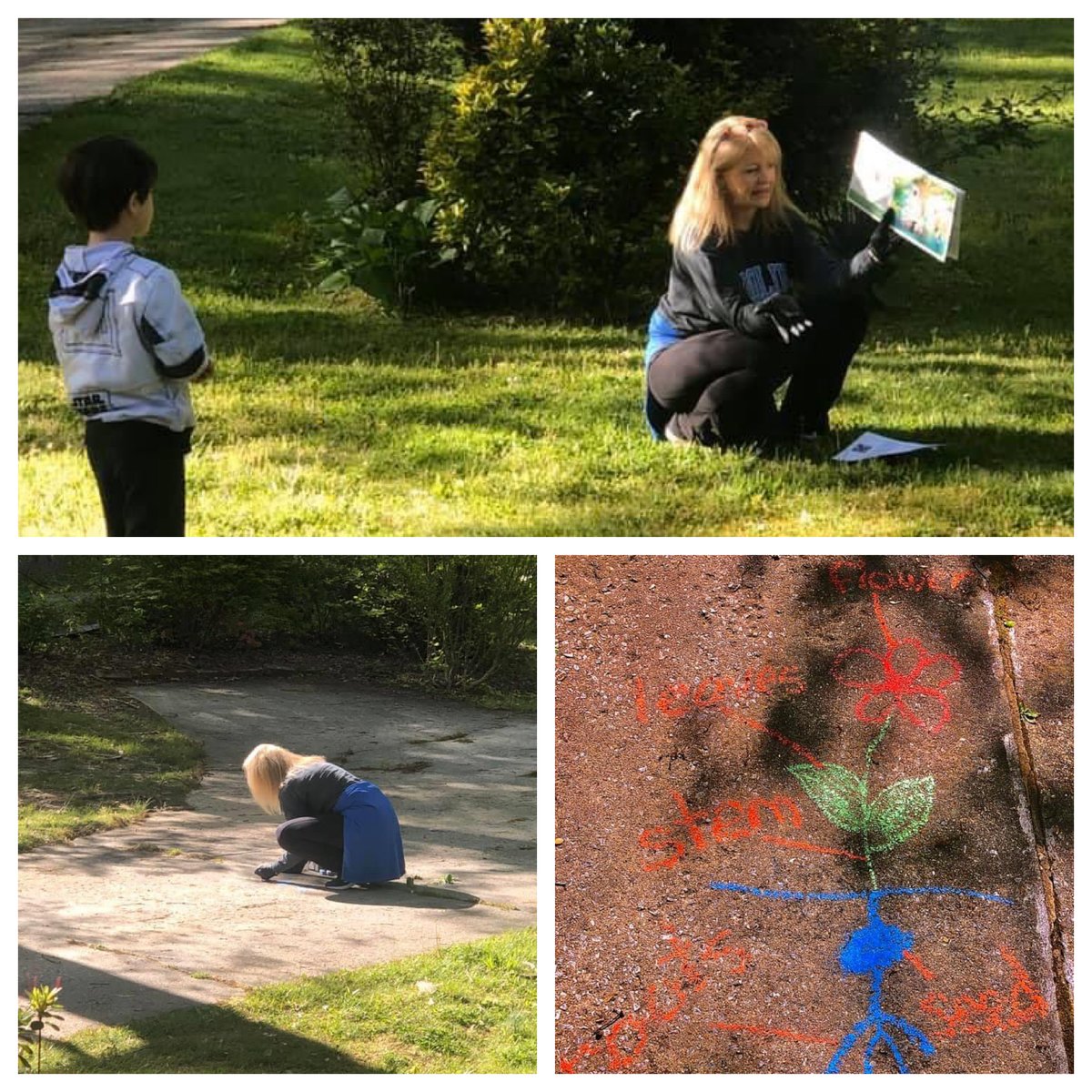 hescubcats's tweet photo. Teachers are getting creative during this #LearnFromHome time. While students can't physically come to school, Mrs. Schandevel is bringing a hands-on lesson to them. Mrs. Upton can also be found throughout the town doing drive-by visits with her students! #HCPSFamily #CubcatPride https://t.co/civA2WuF0y