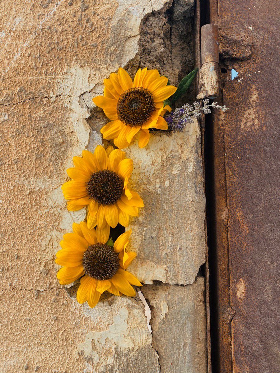 كل الطرق الي الله مزهره.🌷🌷🌷🌷🌷🌷🌷🌷🌷