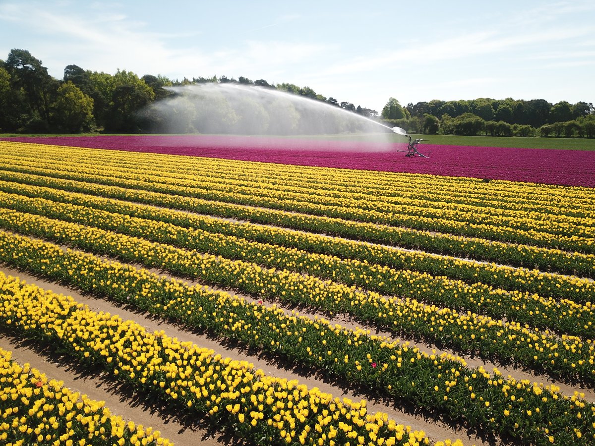 Mark Eves tweet media