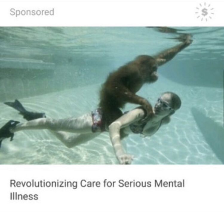 internetkendra's tweet photo. Yea I do think I want to be a horse for a monkey underwater. That would make me feel better https://t.co/BHMBlJFXcy