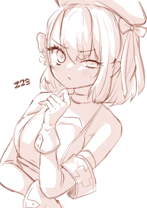 Z23 