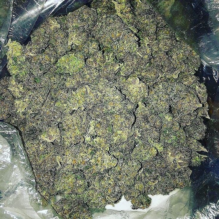 LegentPlug's tweet image. Livraison &amp;amp; envoie 

Snapp// plugstore18
Commande minimum 50€
#weed #parisweed #weedparis #weedgermany  #orlyairport  #londonairport #suddelafrance
#norddelafrance #flytoparis 
#parisairport #hoteldeparis #restaurantparis 
#hoteldefrance #restaurantfrancais