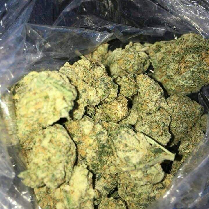 LegentPlug's tweet image. Livraison &amp;amp; envoie 

Snapp// plugstore18
Commande minimum 50€
#weed #parisweed #weedparis #weedgermany  #orlyairport  #londonairport #suddelafrance
#norddelafrance #flytoparis 
#parisairport #hoteldeparis #restaurantparis 
#hoteldefrance #restaurantfrancais