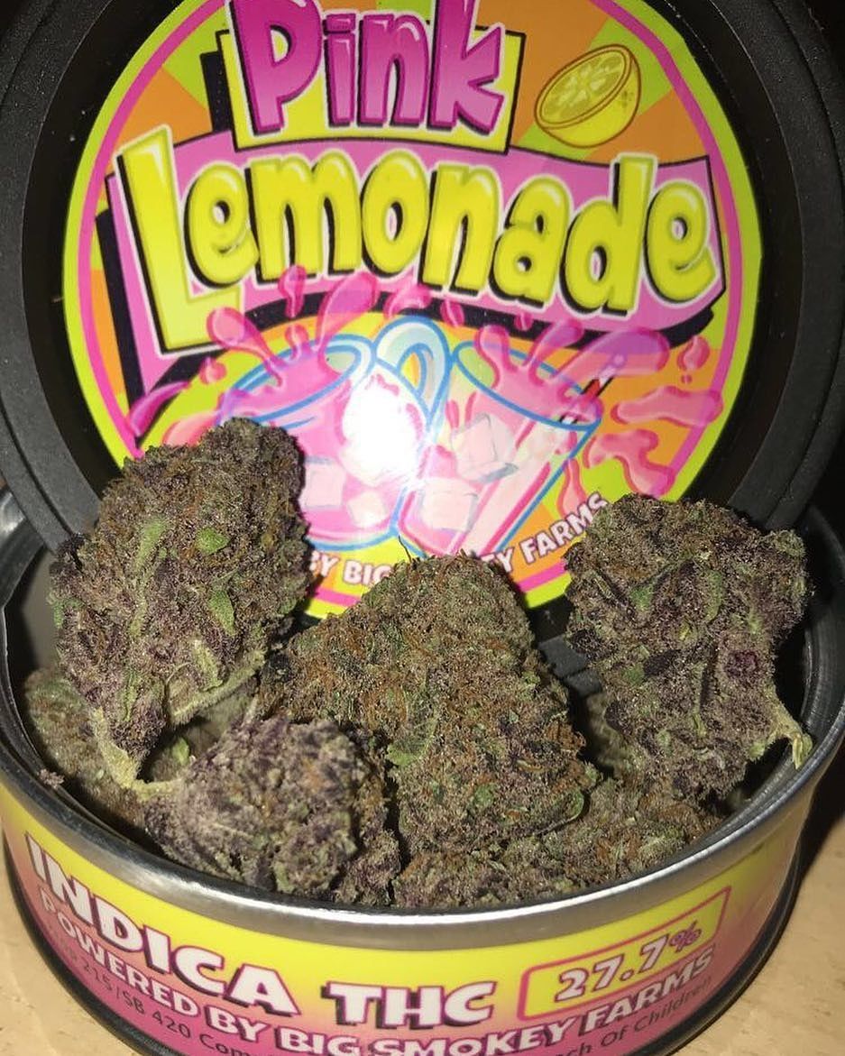 LegentPlug's tweet image. Livraison weed dans toute la France, Espagne, Suisse,Italie, Belgique très fiable et discret.
 Snap//plugstore18
#weedparis #weedinfrance #paristourism #franceweed #fumertue #kush #weed #beuh #jointsmoker #lapagedustoner #franceverte #420paris #Nantes