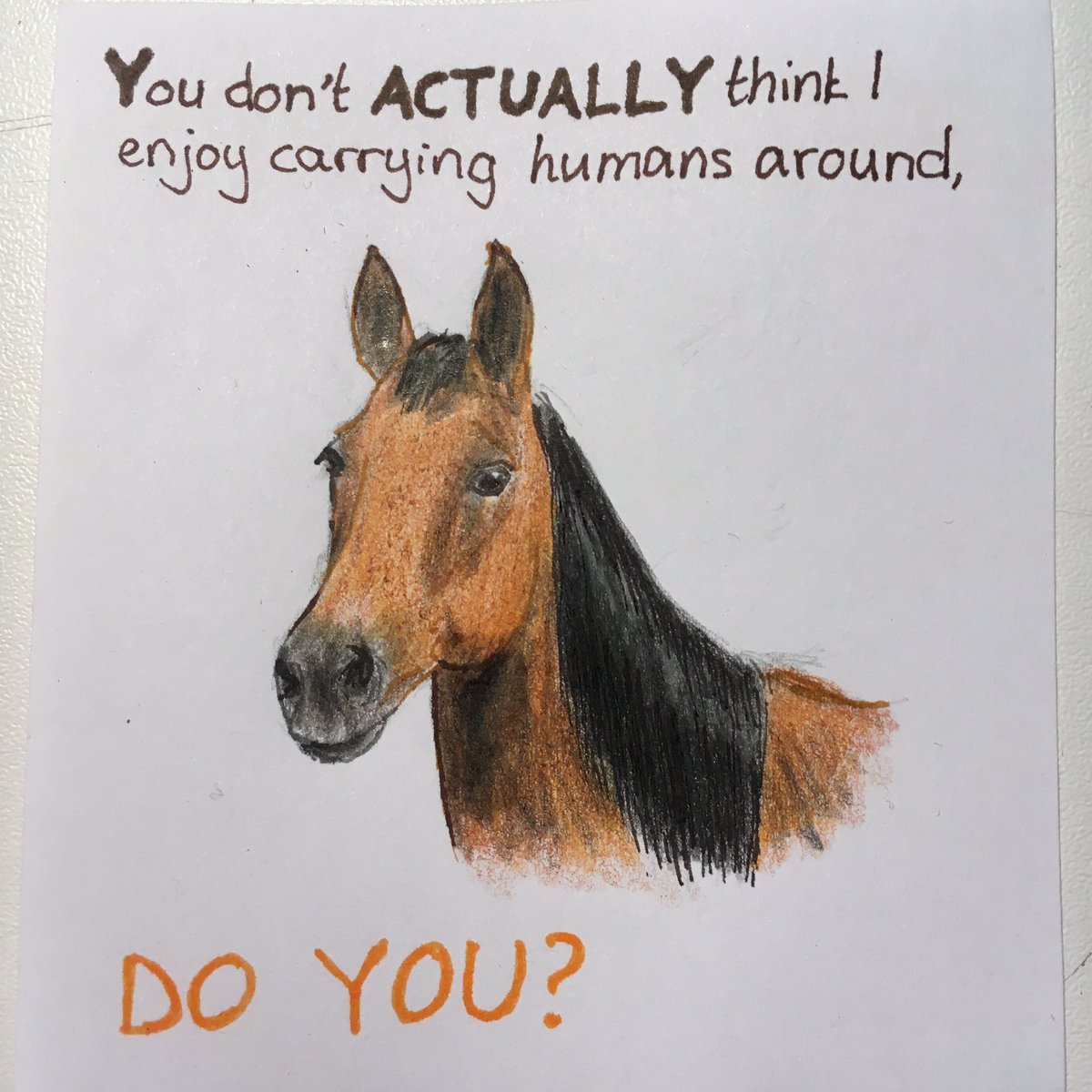 Lana_M_Vegana's tweet image. #govegan #stopusinganimals #horsesarenotvehicles #horses #artivism