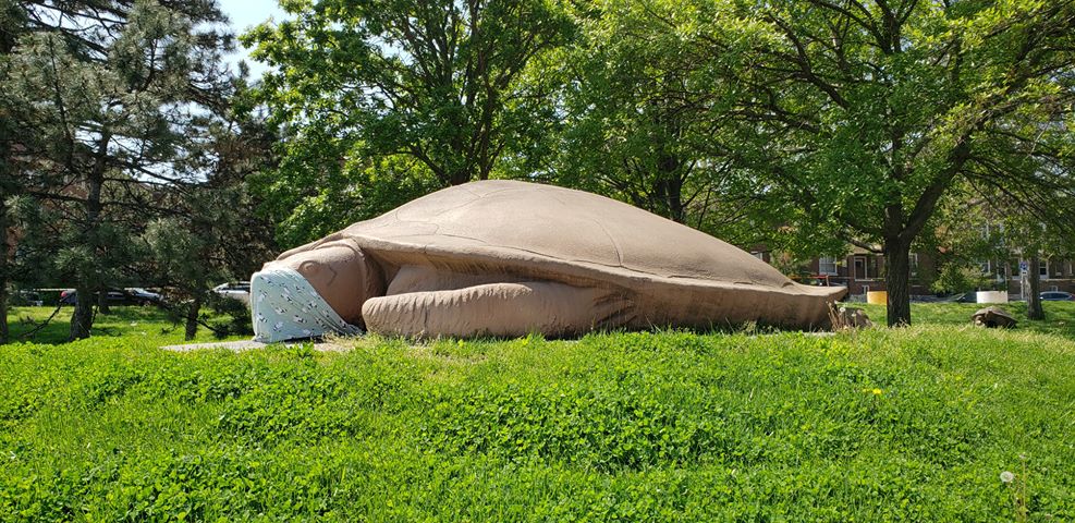 ForestPark4Ever's tweet photo. Even the turtles in Turtle Park are protected. #AtHomeWithForestPark https://t.co/fhatarYkBs
