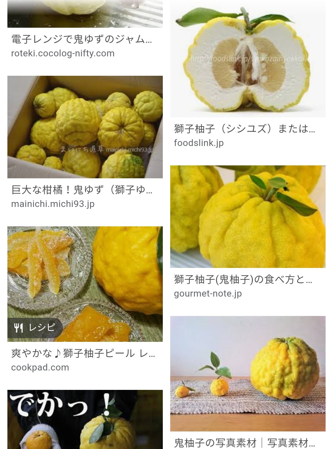 ゆうsaien ずっと気になってて結局買う迄に至らないのは超巨大な 鬼柚子 おにゆず 別名獅子柚子 と仏様の手に似てる見た目から名付けられたのか 仏手柑 ぶっしゅかん 仏手柑は皮とワタばっかりでめっちゃ使い辛そうだけど気になる気になる ﾎｰﾑ