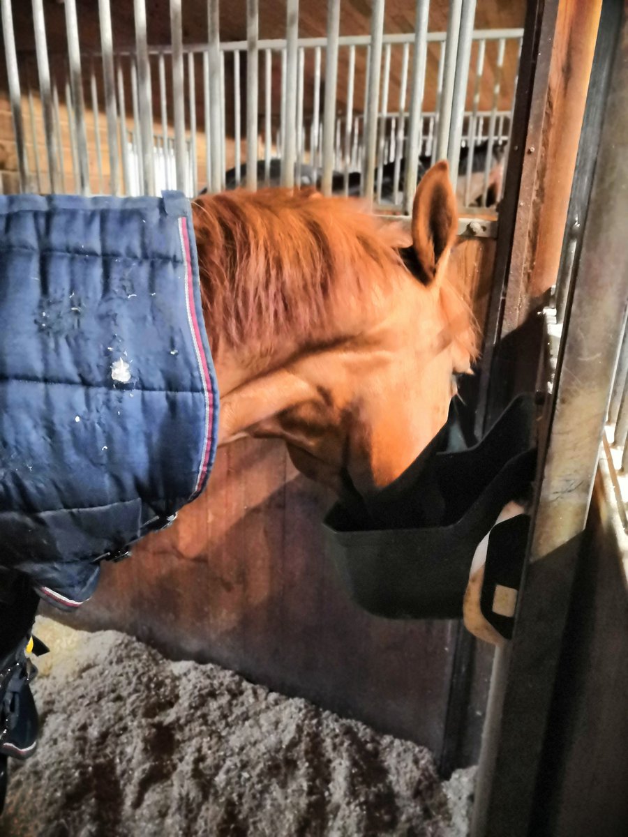 Elämäni kuvina 2/7 ei sanoja ei ihmisiä. Kiitos <a href="/HeliVaisanen/">Heli Väisänen</a> haasteesta. Seuraavaksi haasteen saa <a href="/tuulaalaine/">Tuula Laine</a> sekä <a href="/MaaretMer/">Maaret Meriläinen</a>