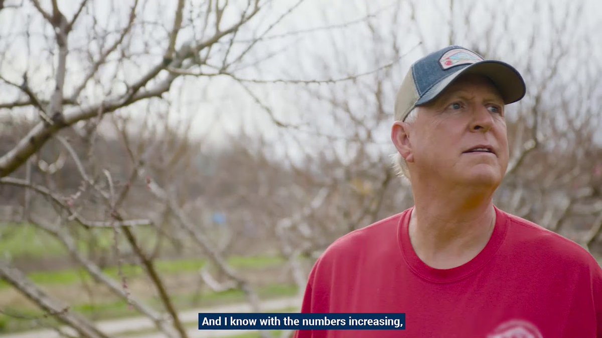 SolanoCounts's tweet image. Our farmers need this. Let's all do our part. #familyfarms #farming #locallygrown #farmersmarket #produce youtube.com/watch?v=OxkRBB…