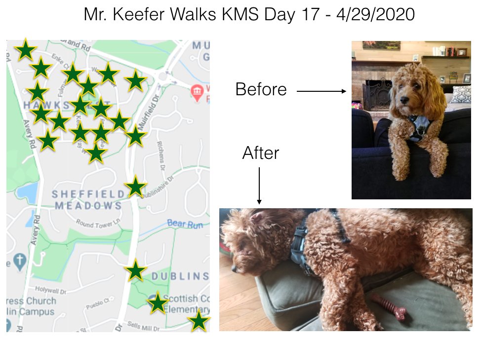 KMSRoom229's tweet photo. Day 17 of #KMSWander is complete. Longest day yet for Juno - almost 4.5 miles. I saw so many @KarrerMS (@KMSAthletics) signs above garages today. So fun! https://t.co/8LafxHSlA1