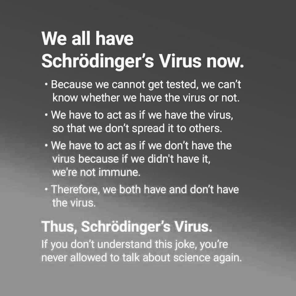 kavithadavidson's tweet photo. My scientist friends at Harvard, Cornell, and Columbia are sharing this, lol https://t.co/j9icyHMQ97