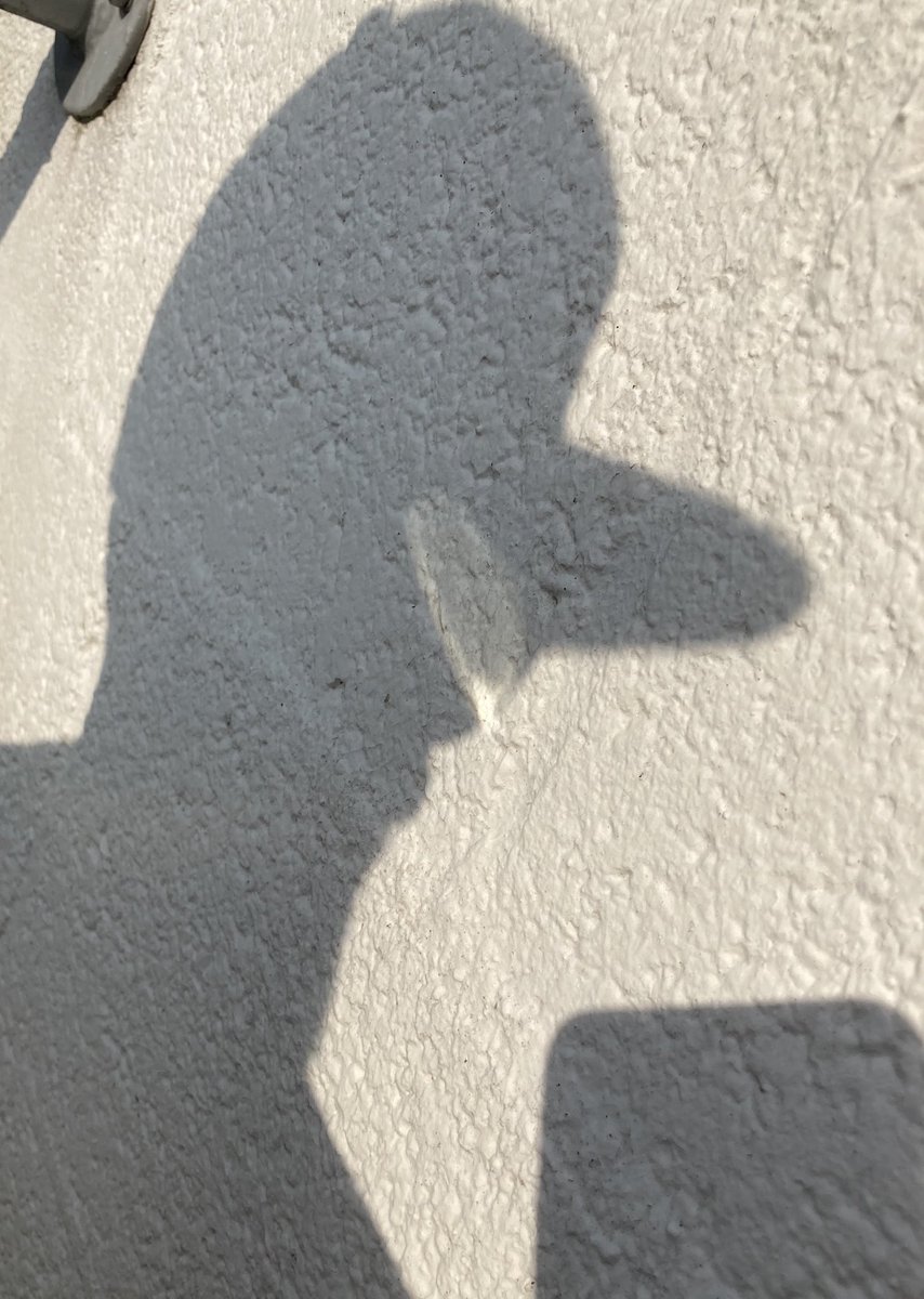 paoletta1009's tweet photo. I saw this shadow in a tweet by @astridpoot! This is the same man of my precedent tweet that was surfing 🏄 now returned home to drink a beer 🍺 with friends! 

#LightUpOurDays 
@TinkeringStudio https://t.co/JQ0BTKAQi0