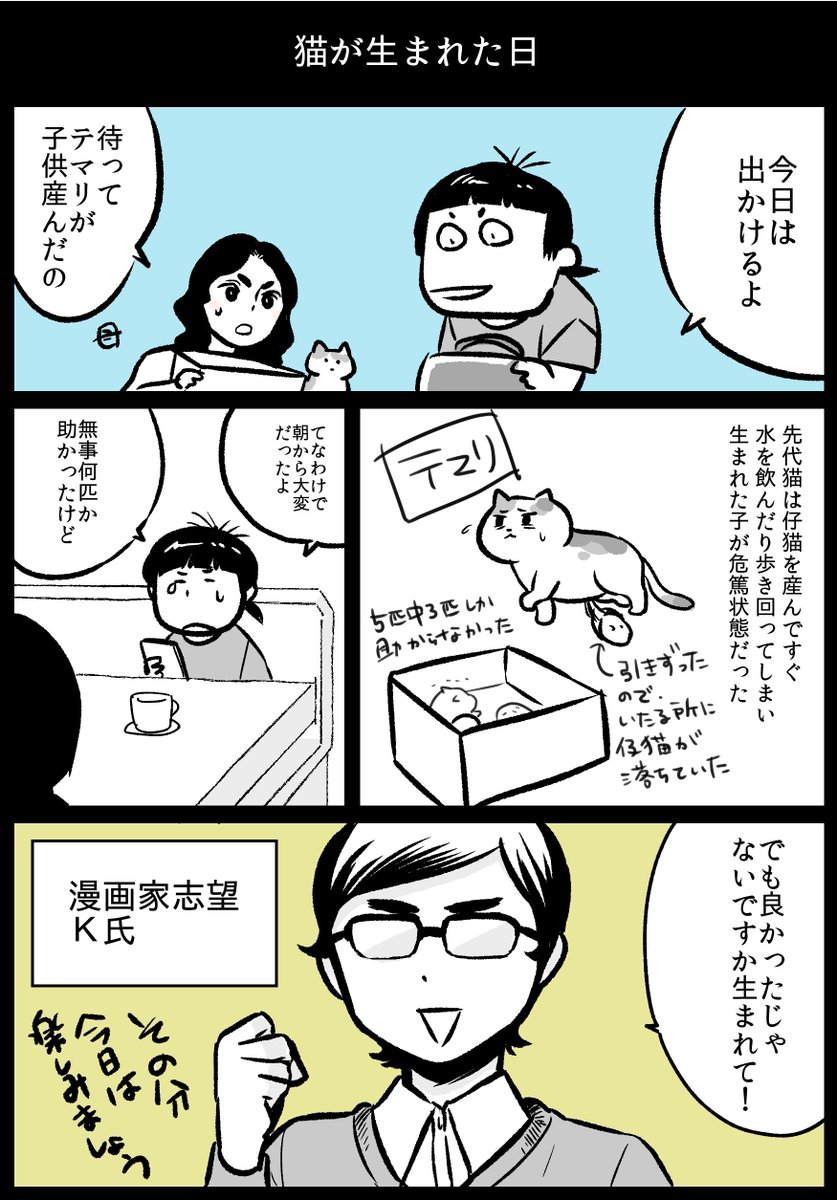 【漫画家まんが】
猫が生まれた日の漫画…
と、言いつつ
漫画家物語を描いたよ。

ここでアルバイトした話はまた別の時に。
トキワ荘好きとしては
恵まれた経験だった…。

#猫漫画 #JR漫画 #実録 