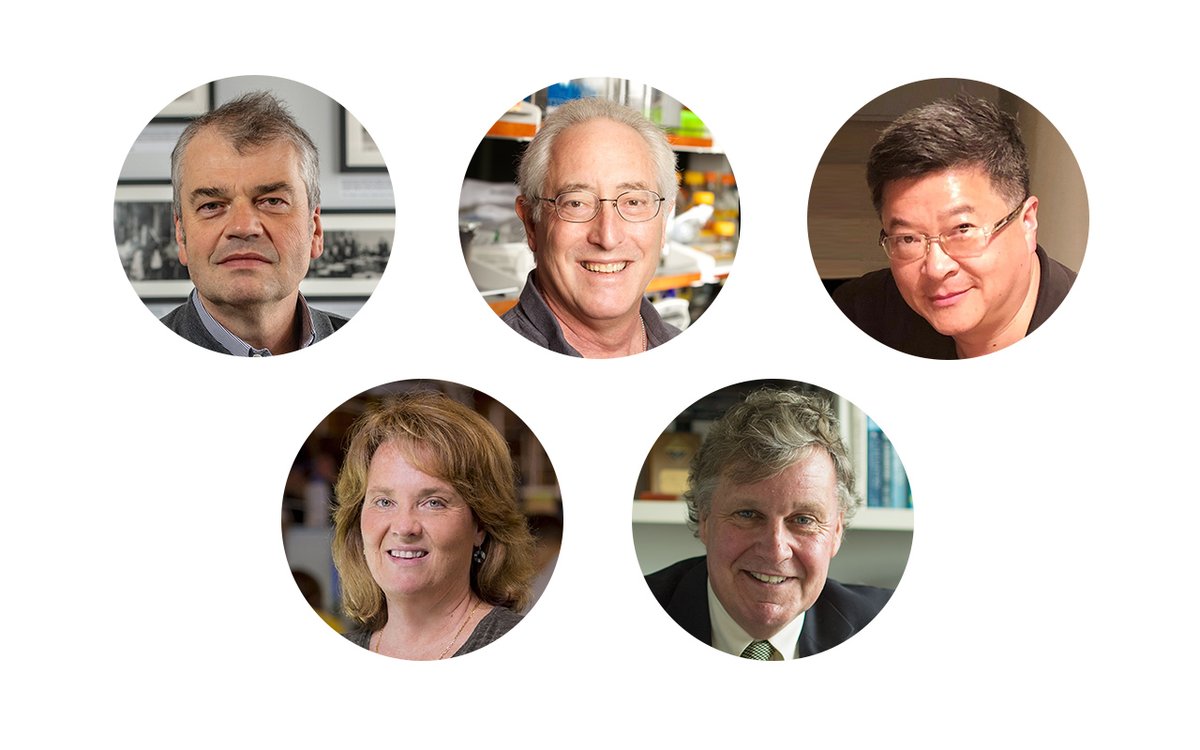 UC San Diego (@ucsandiego) on Twitter photo Congratulations to Dmitri Basov, Lawrence Goldstein, Terence Hwa, Clifford Kubiak, and Kimberly Prather who were recently elected to <a href="/theNASciences/">National Academy of Sciences</a>, one of the highest honors bestowed on U.S. scientists and engineers. bit.ly/3c0glPf Congratulations to Dmitri Basov, Lawrence Goldstein, Terence Hwa, Clifford Kubiak, and Kimberly Prather who were recently elected to <a href="/theNASciences/">National Academy of Sciences</a>, one of the highest honors bestowed on U.S. scientists and engineers. bit.ly/3c0glPf