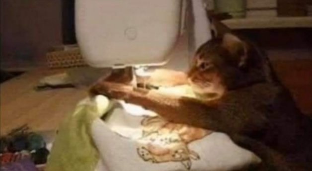 ๐น๐๐ ๐๐ ๐๐ก๐ ๐๐ | Lั Rัฮทฮฑัโ Mฮฑัqฯ
ัฬ tweet media